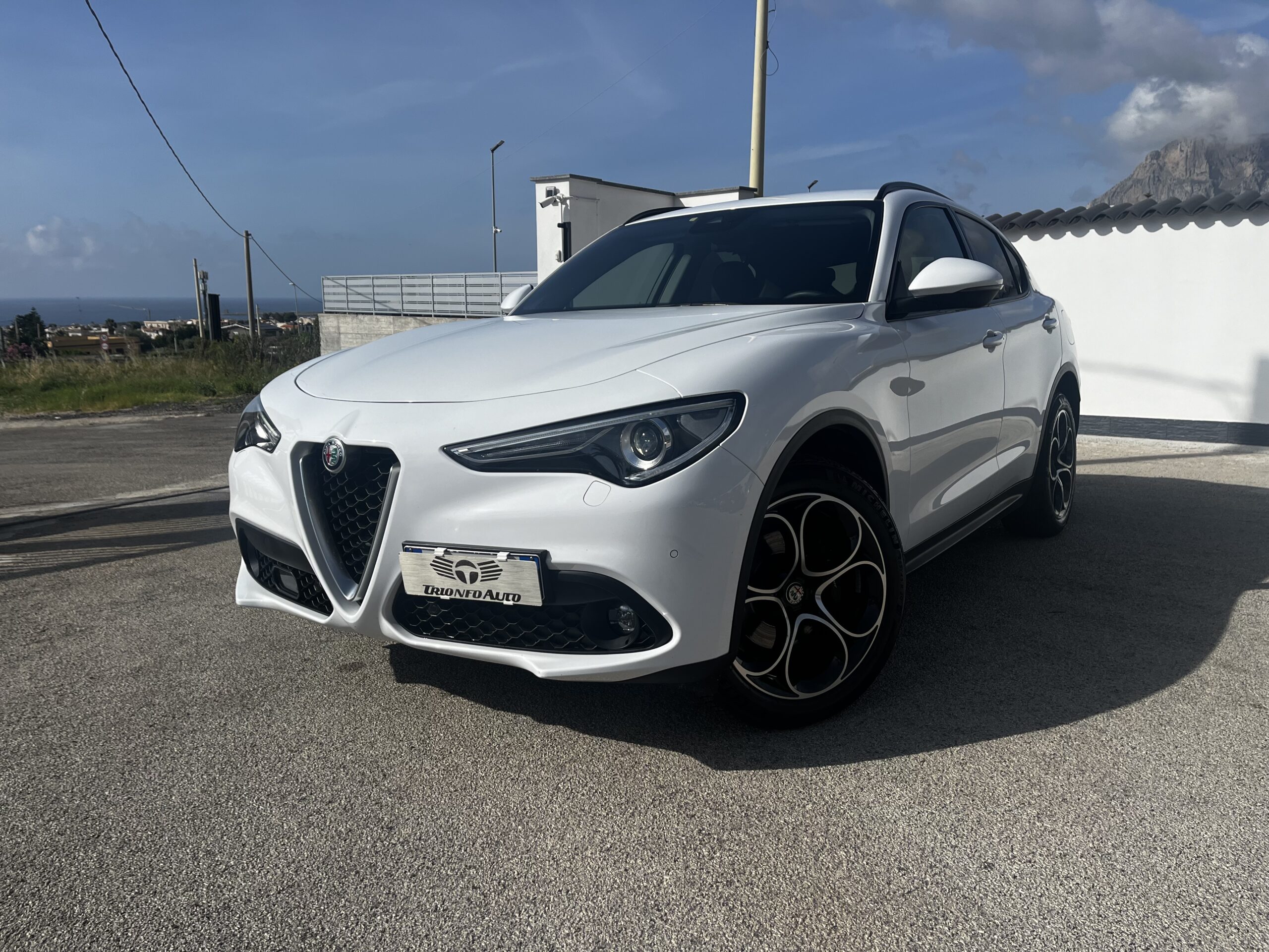 ALFA ROMEO STELVIO 2.2 Turbodiesel 210cv AT8 Q4 EXECUTIVE